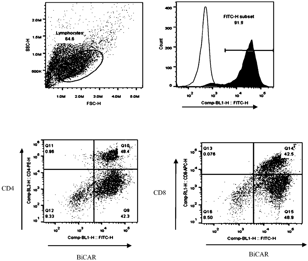 Human T lymphocytes carrying CD20/CD19 bispecific chimeric antigen receptor as well as preparation method and application of human T lymphocytes