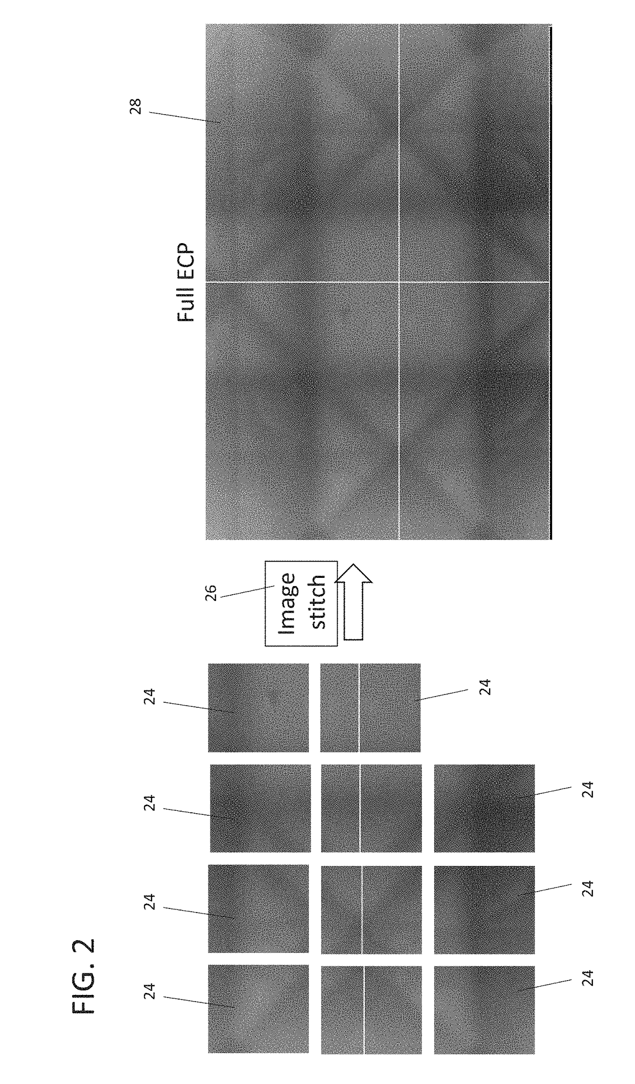 Electron channeling pattern acquisition from small crystalline areas