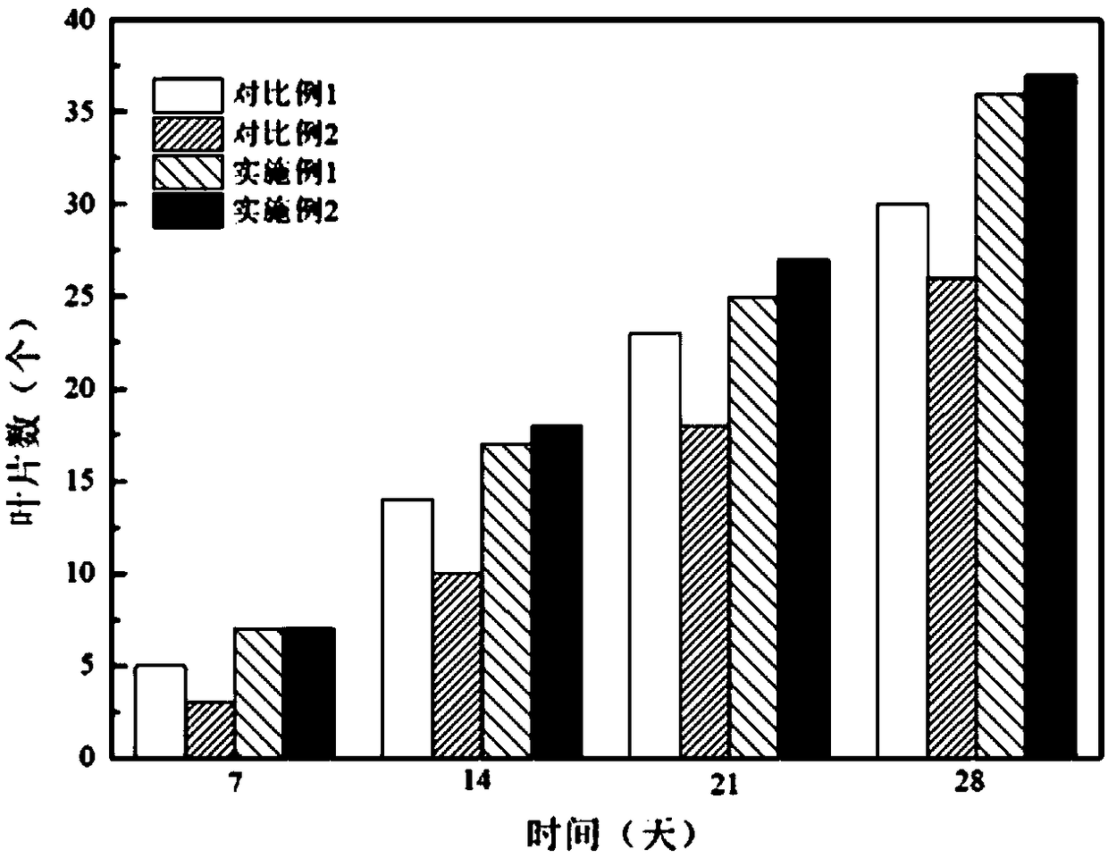 Compound microbial agent for controlling powdery mildew of Euonymus japonicus