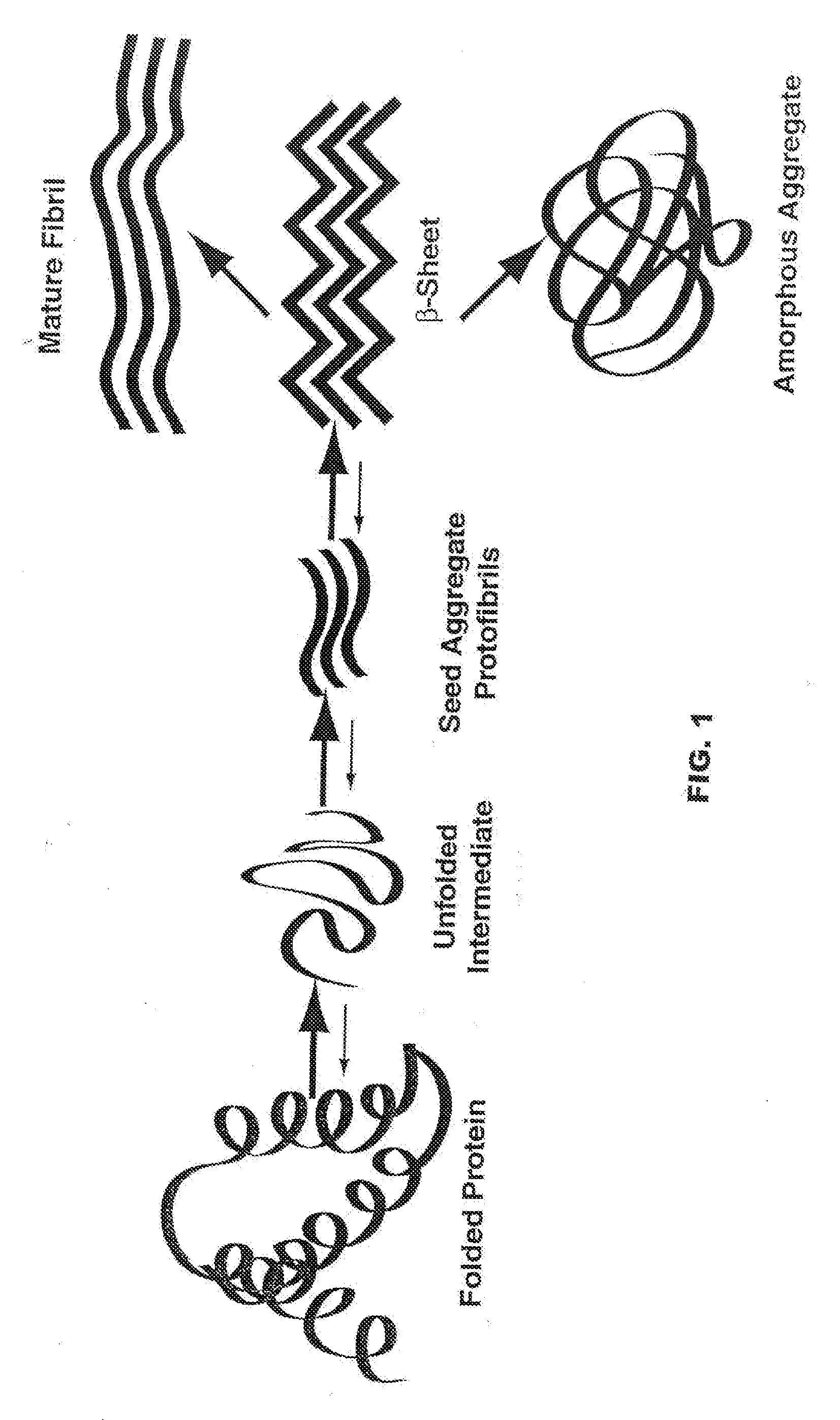 Neurodegenerative protein aggregation inhibition methods and compounds