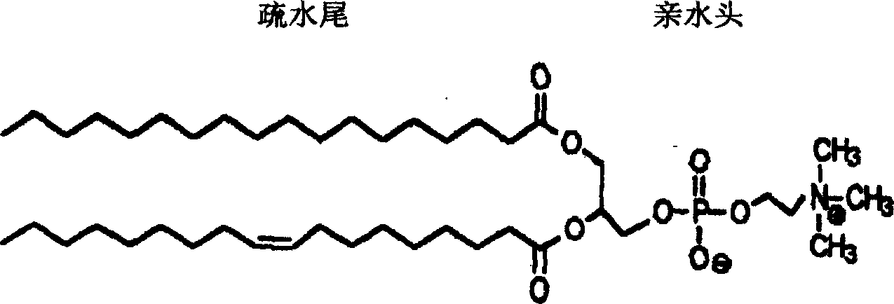 Lubricant for human body containing extract product form soybean and hyaluronic acid and preparation method