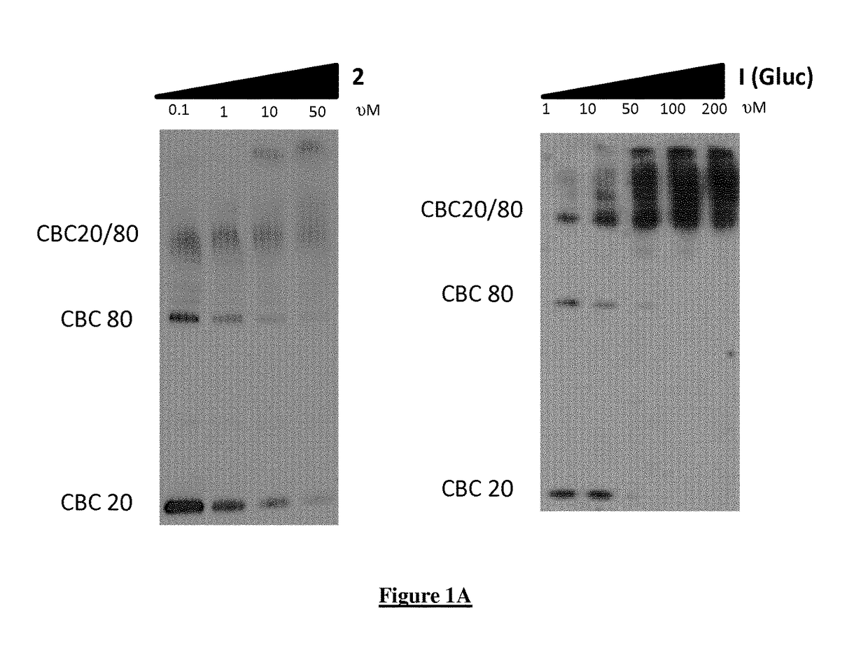 A new quinoline derivative for use in the treatment and prevention of viral infections