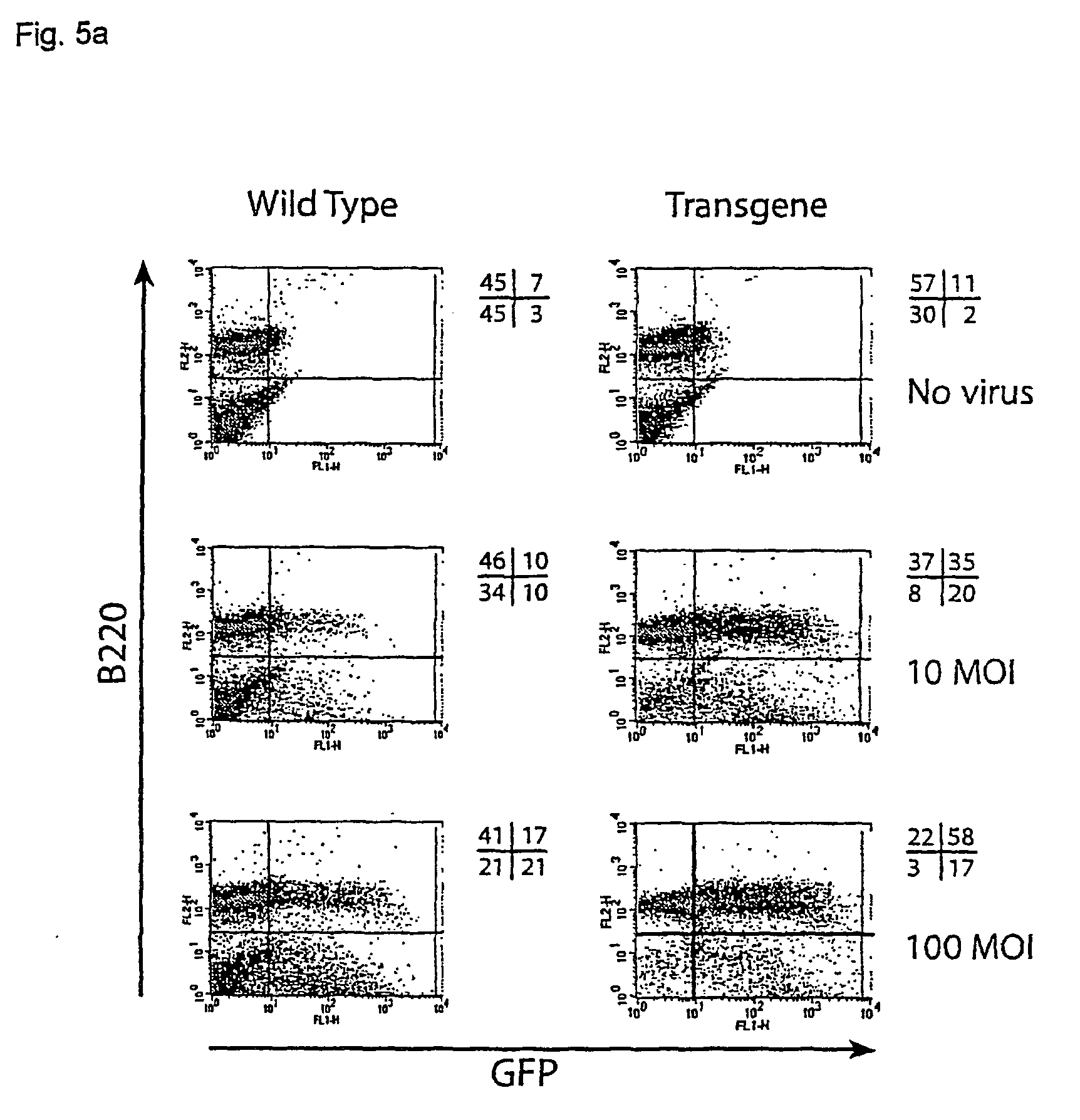 Method of obtaining a non-human mammal susceptible to adenovirus-mediated gene delivery, a method for such delivery, and a non-human mammal susceptible to such delivery