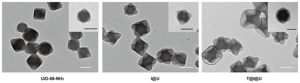 Metal organic framework nanoparticles for oral protein administration and preparation method of metal organic framework nanoparticles
