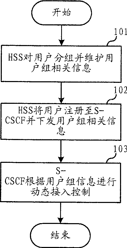 IP multimedia subsystem domain user access controlling method and its system