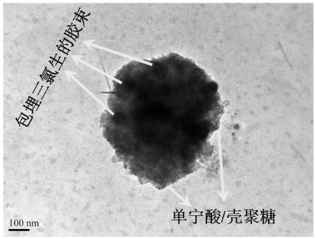 A kind of pH response type tannic acid/chitosan nanocapsule and preparation method thereof