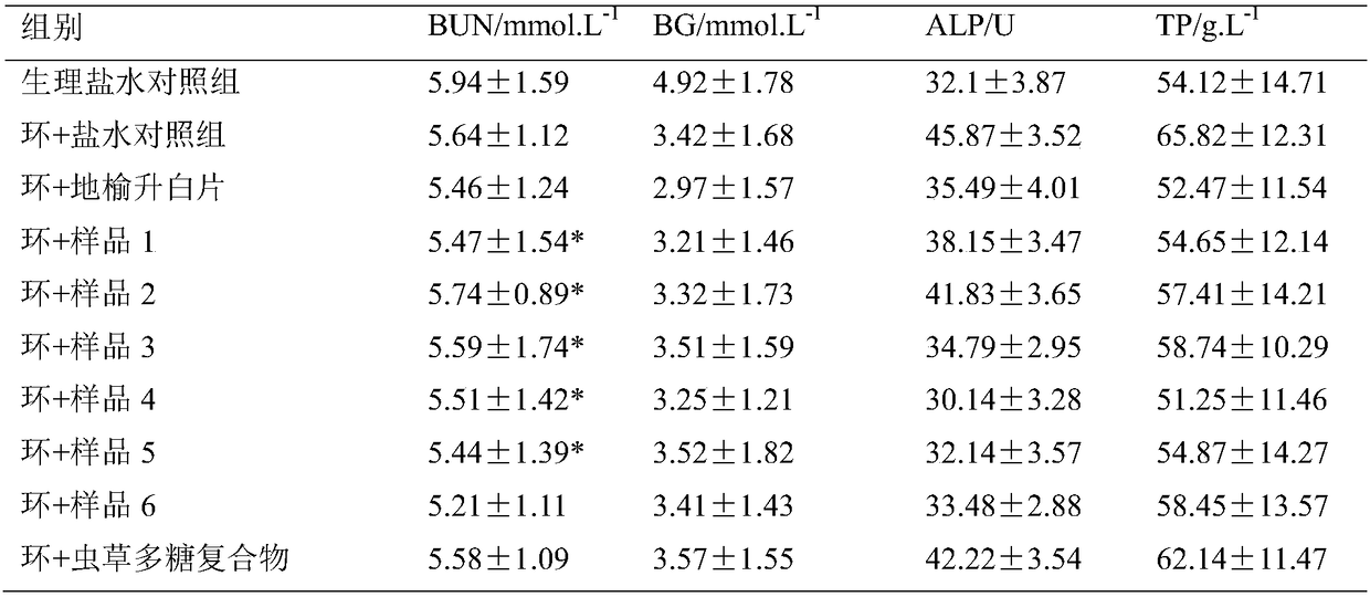 Cordyceps protein peptide complex for reducing side effects of radiotherapy and chemotherapy