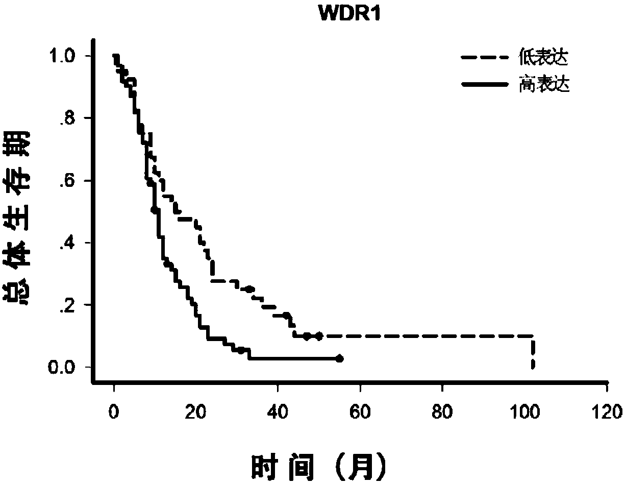 A protein combination used for assessing glioblastoma prognosis and applications thereof