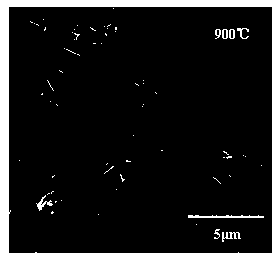 Method for preparing copper-doped zinc oxide nano-comb