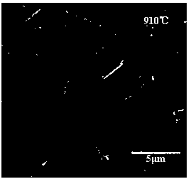 Method for preparing copper-doped zinc oxide nano-comb