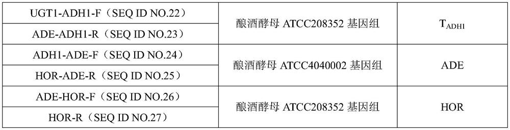 Recombinant saccharomyces cerevisiae for producing ginsenoside CK by metabolizing glycerol and construction method of recombinant saccharomyces cerevisiae