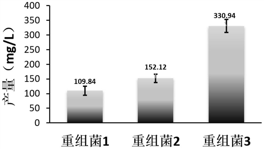 Recombinant saccharomyces cerevisiae for producing ginsenoside CK by metabolizing glycerol and construction method of recombinant saccharomyces cerevisiae