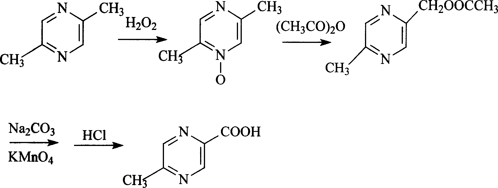 Process of selective synthesizing 5-methyl pyrazine-2-carboxylic acid using 2,5-dimethyl pyrazine