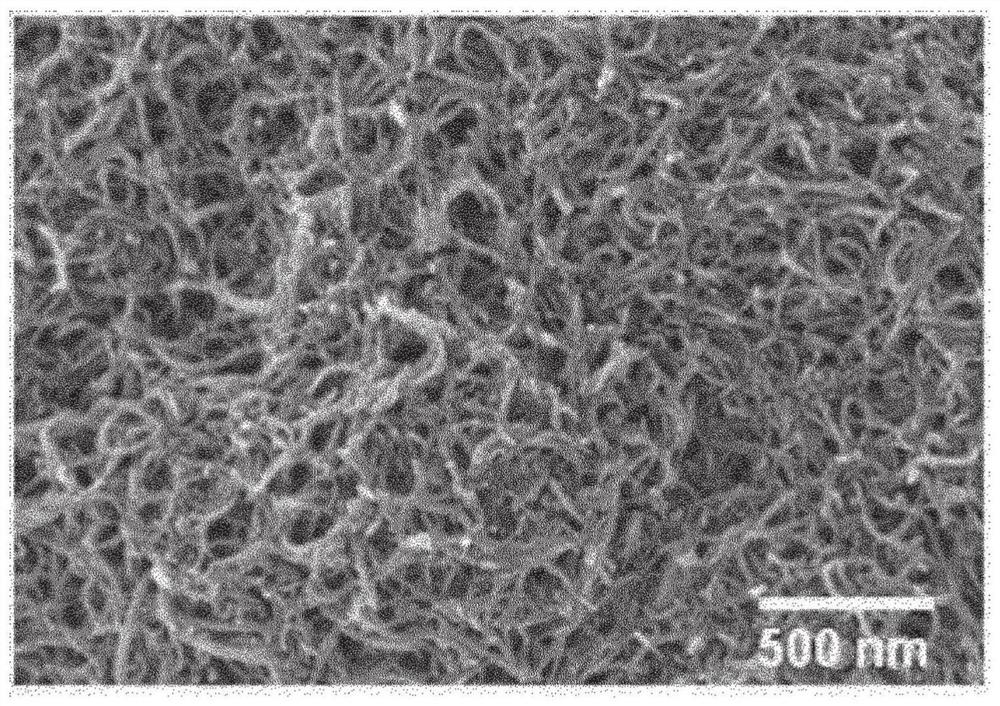 Ceria-carbon-sulfur composite, method for preparing same, and positive electrode and lithium-sulfur battery comprising same