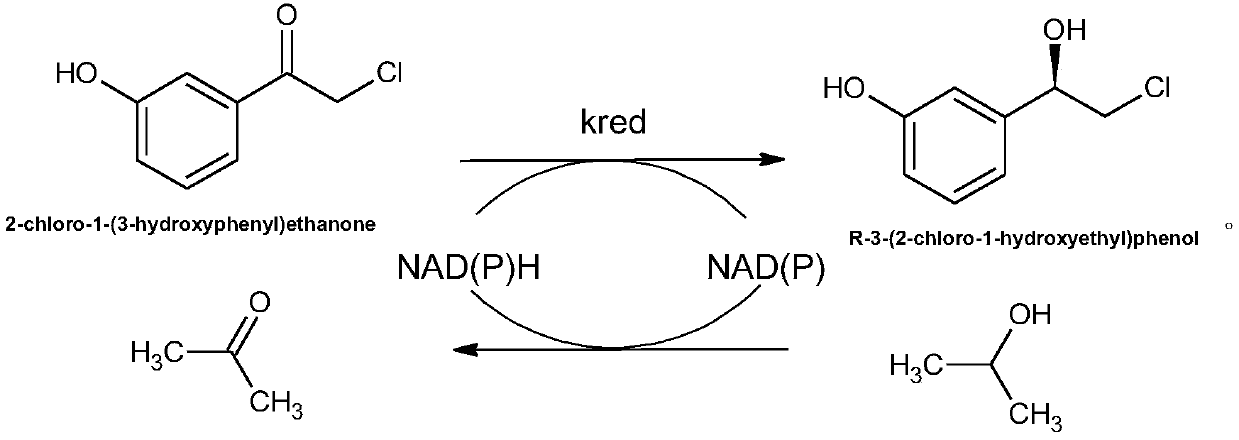 Method for synthesizing R-3-(2-chloro-1-hydroxyethyl) phenol, phenylephrine and eye drops