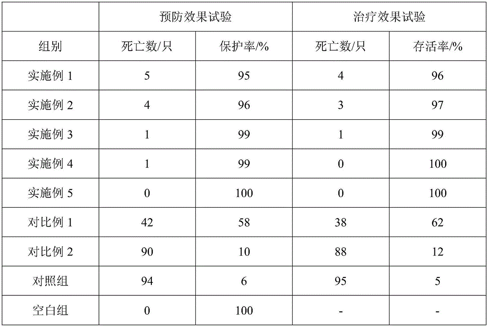 Lactobacillus feed additive for preventing and controlling hog cholera, and preparation method and application thereof