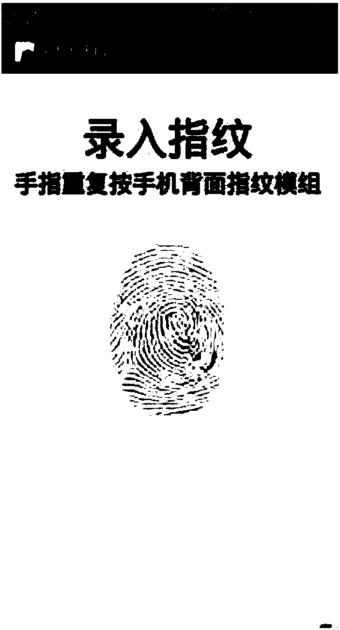 Fingerprint input method and intelligent terminal