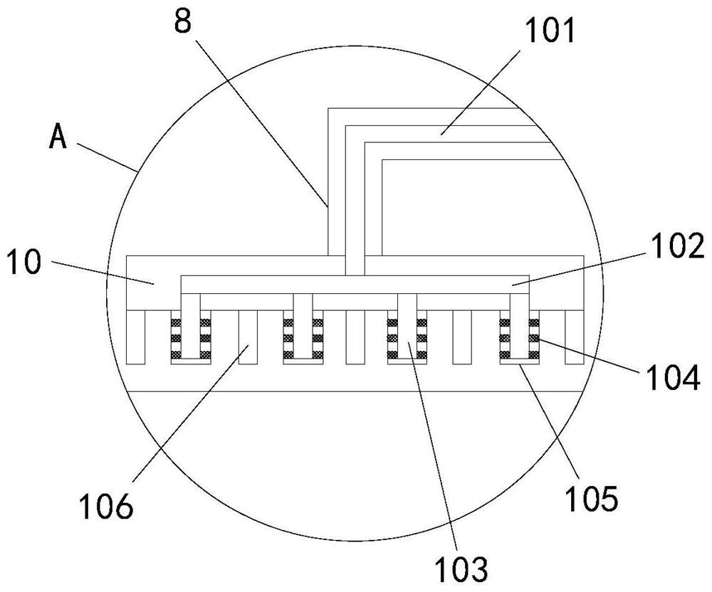 Accelerated cooling device for torreya grandis processing