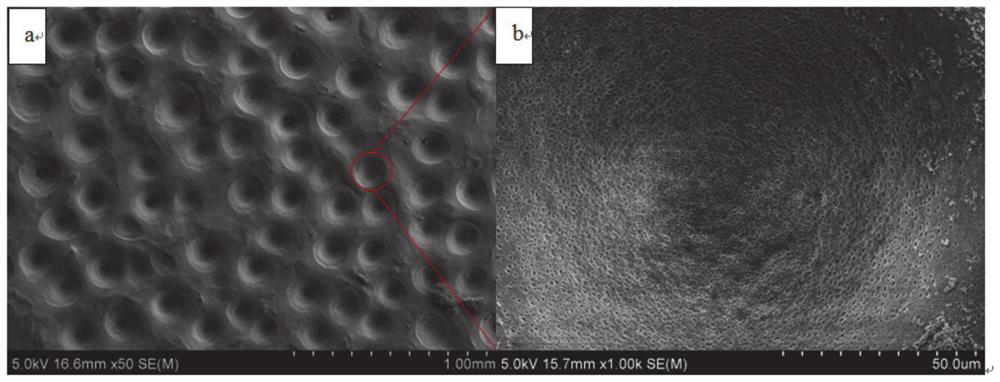 A method for preparing multi-scale porous structures on the surface of polyetheretherketone