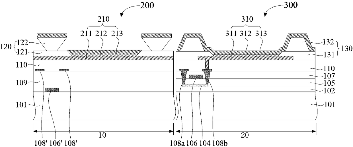 Display substrate and manufacturing method thereof, and display apparatus
