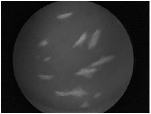 Method for rapidly detecting varicella virus titer by using fluorescence method