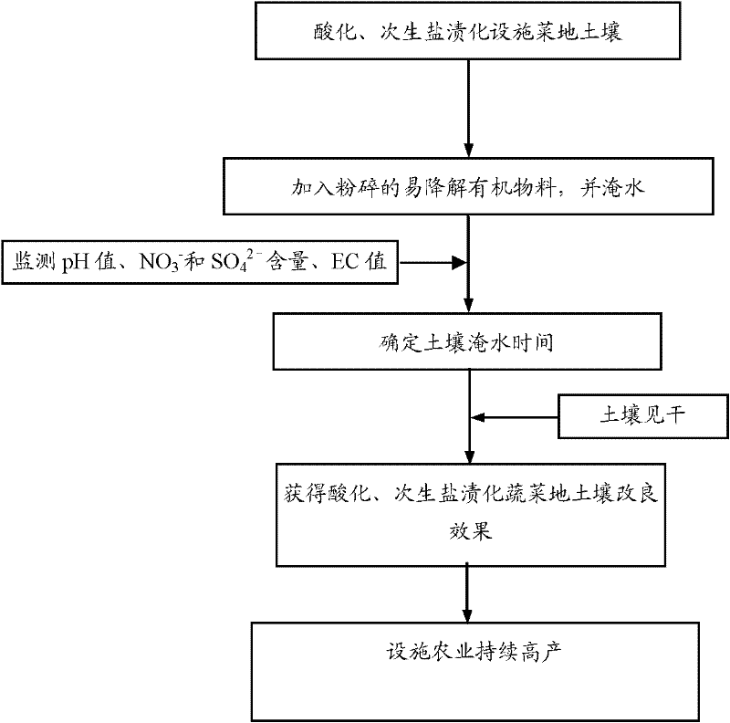 Method for eliminating soil acidification and secondary salinization of facility vegetable field