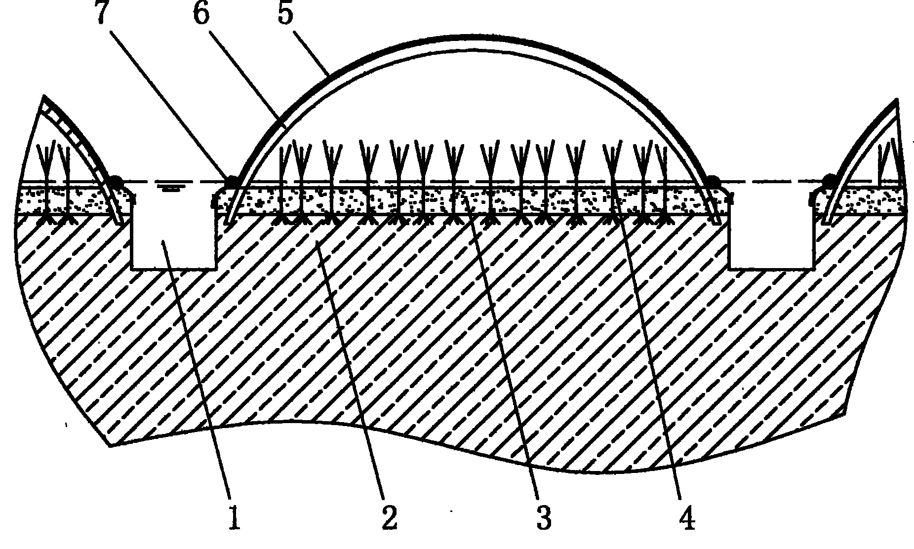 Dry-sowed waterpipe seedling culture method