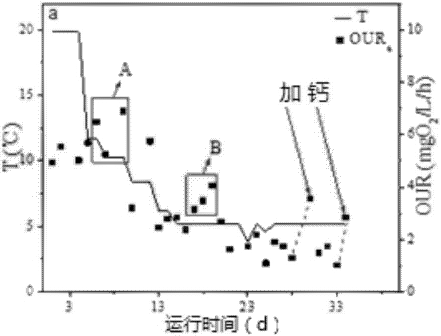 Method for assessing robustness of activated sludge system based on reinforcing effect of calcium