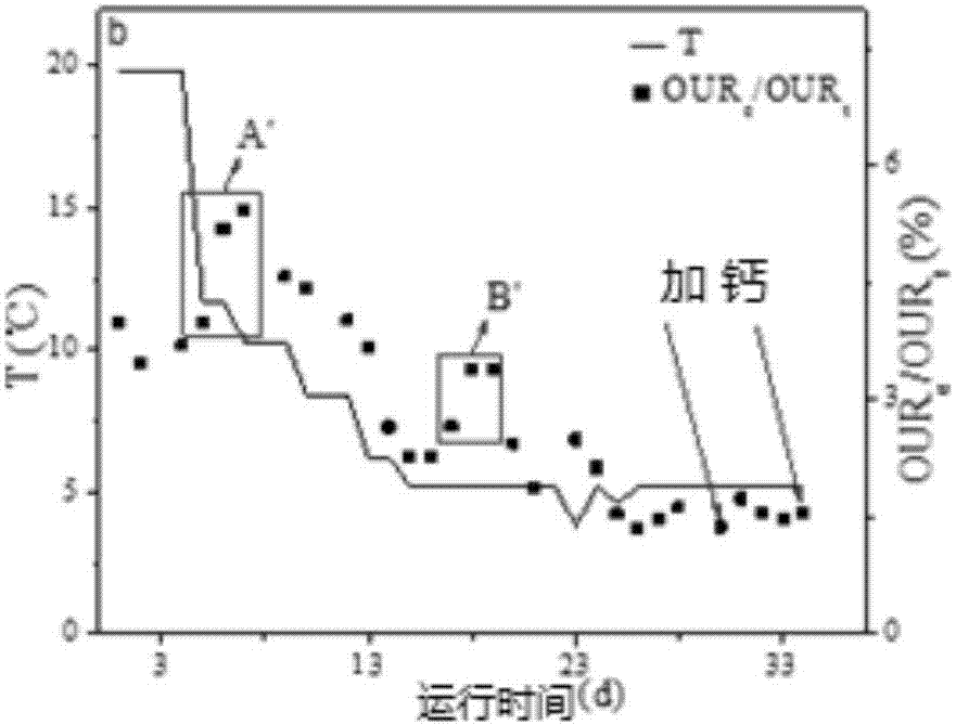 Method for assessing robustness of activated sludge system based on reinforcing effect of calcium