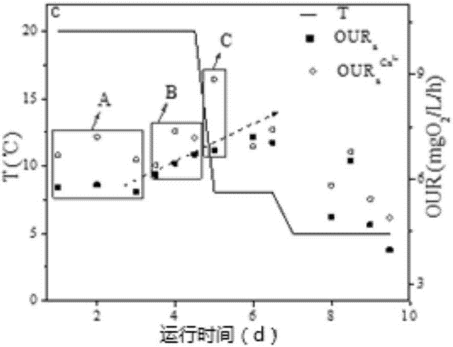 Method for assessing robustness of activated sludge system based on reinforcing effect of calcium