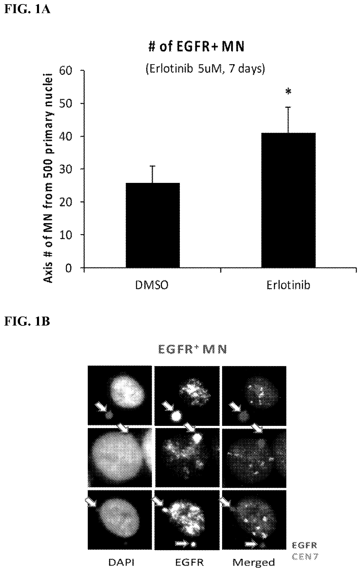 Methods of treating extrachromosomal DNA expressing cancers