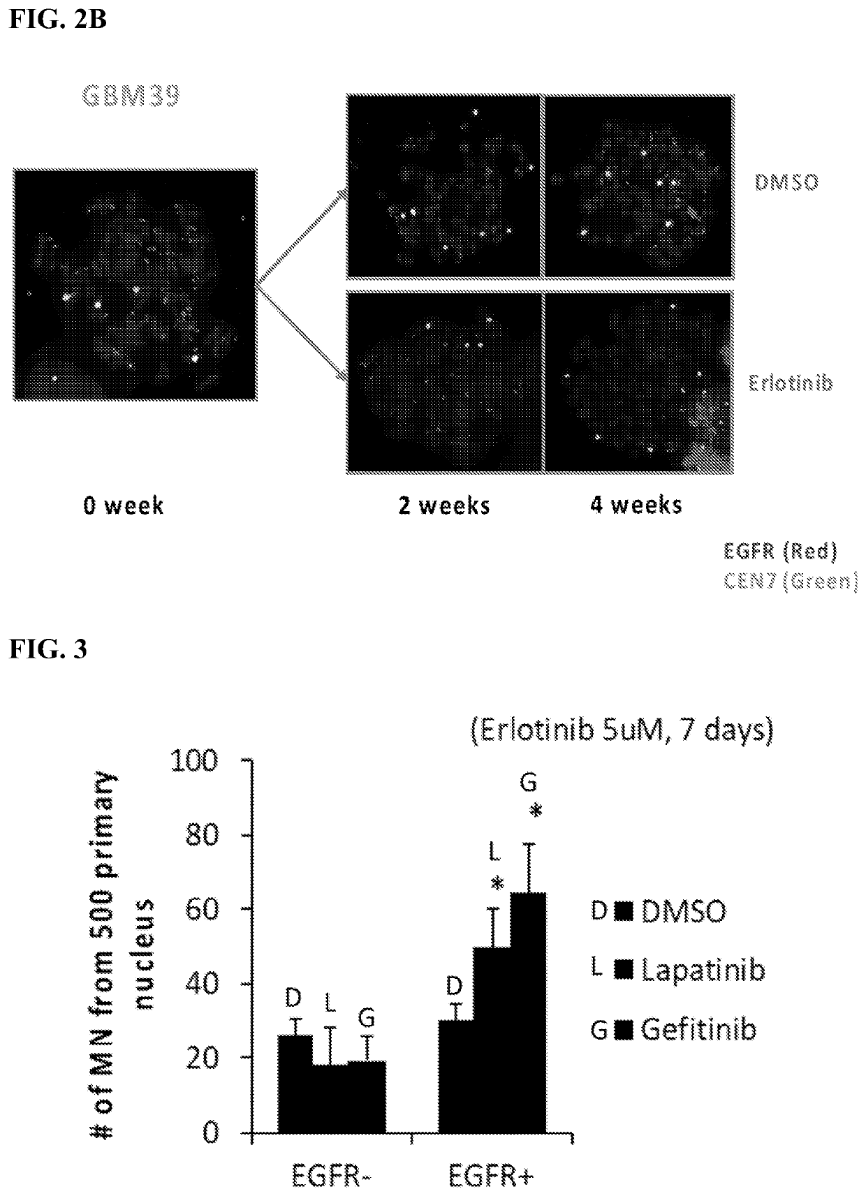 Methods of treating extrachromosomal DNA expressing cancers