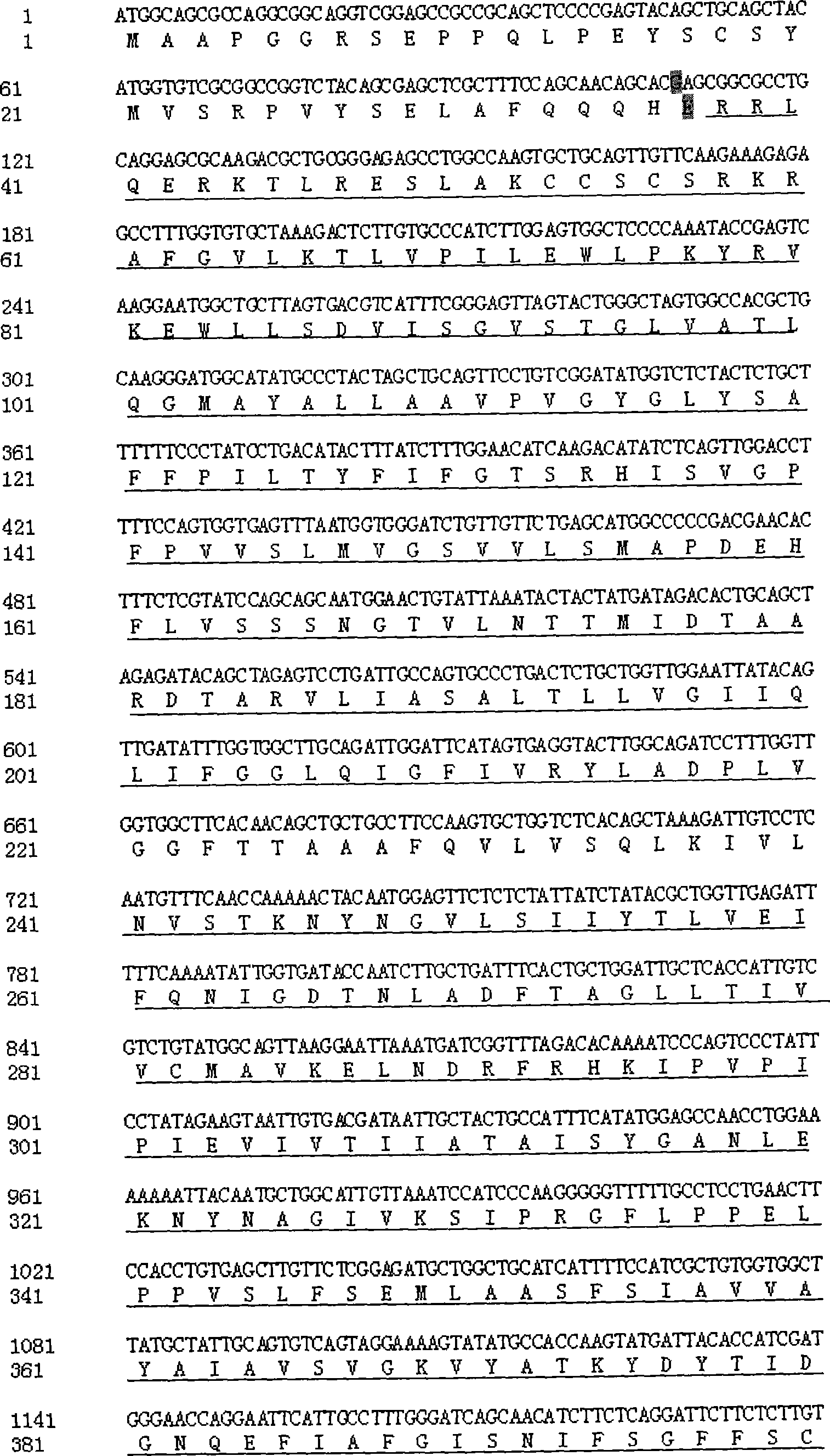 Reagent case for detecting 589G &gt;A mutation of large vestibular aqueduct related gene SLC26A4