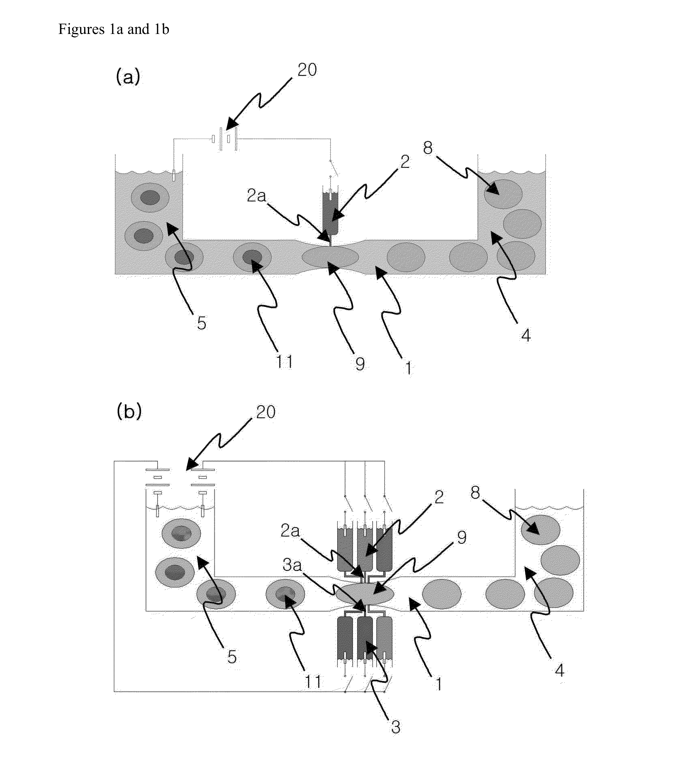 Process for modifying a cell by putting material into the cell