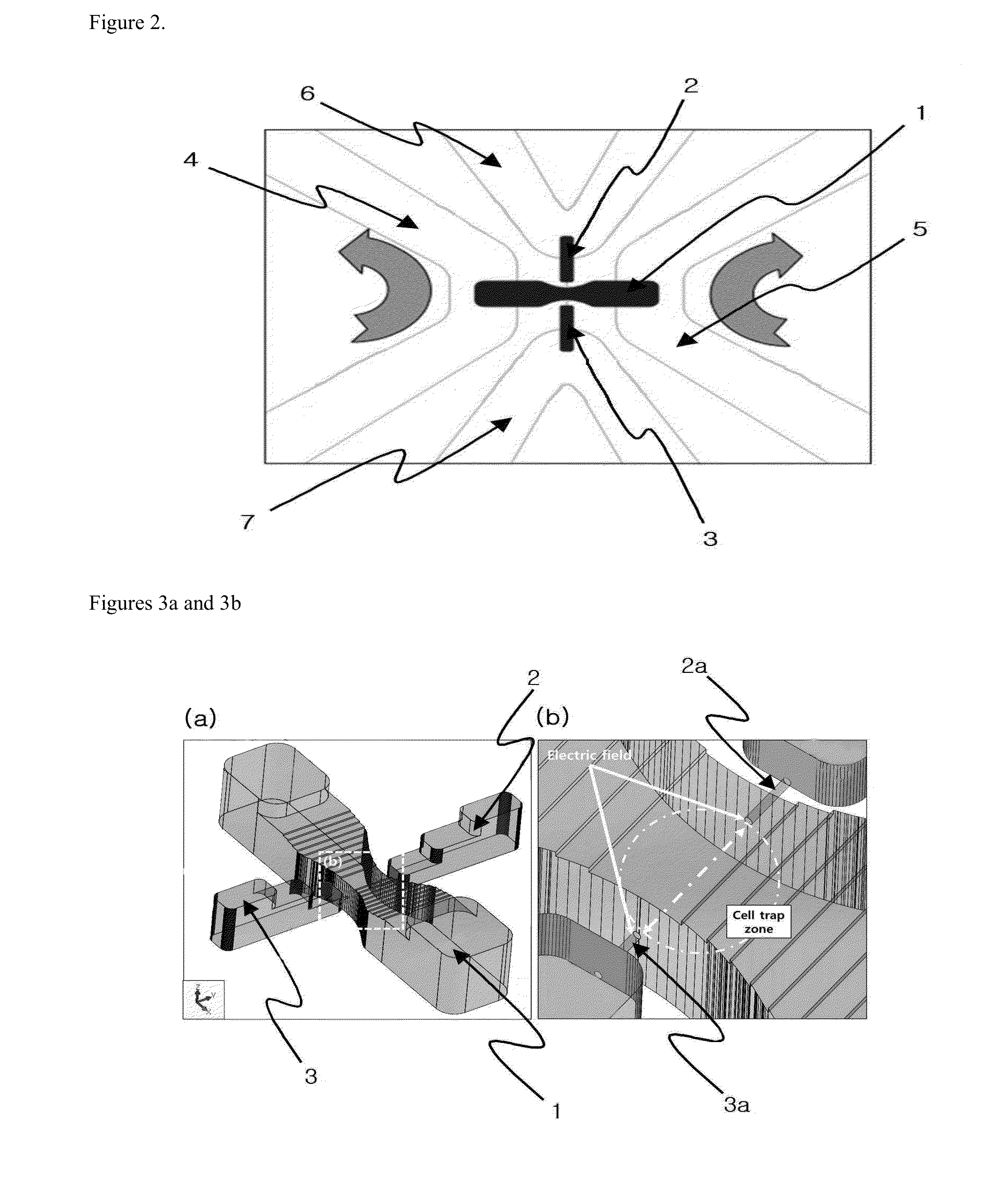 Process for modifying a cell by putting material into the cell