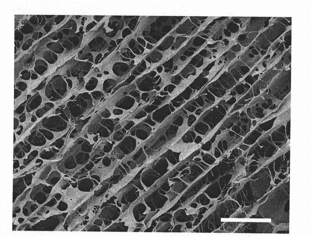 High-artificial tissue engineering nerve repair material NGCS and preparation method thereof