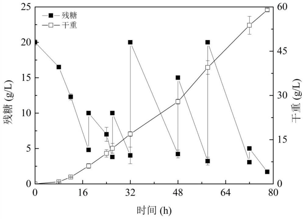 Rhodosporidium paludigenum and application thereof in producing beta-carotene by taking straws as raw materials