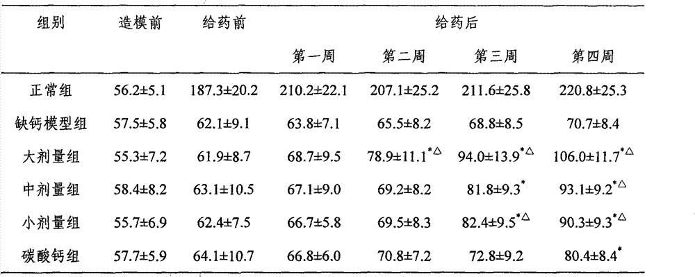 Giant salamander meat and bone meal capsules, preparation method and application thereof