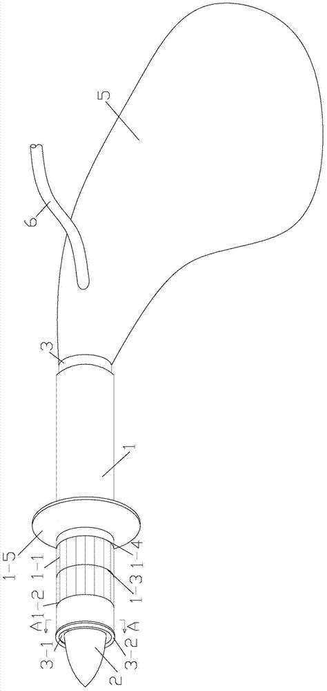 Sleeve type gastric puncture flushing decompression device