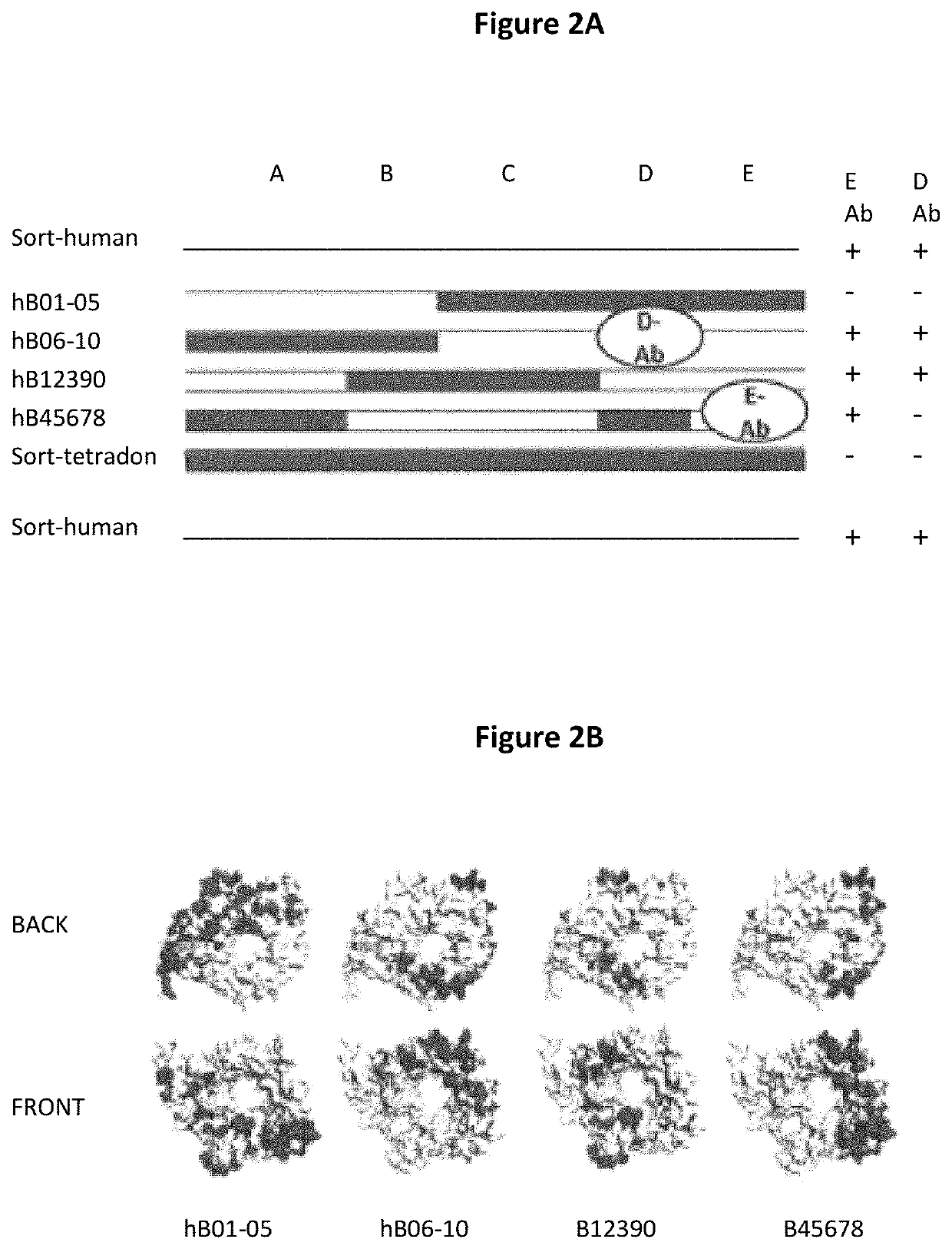 Agents, uses and methods for treatment