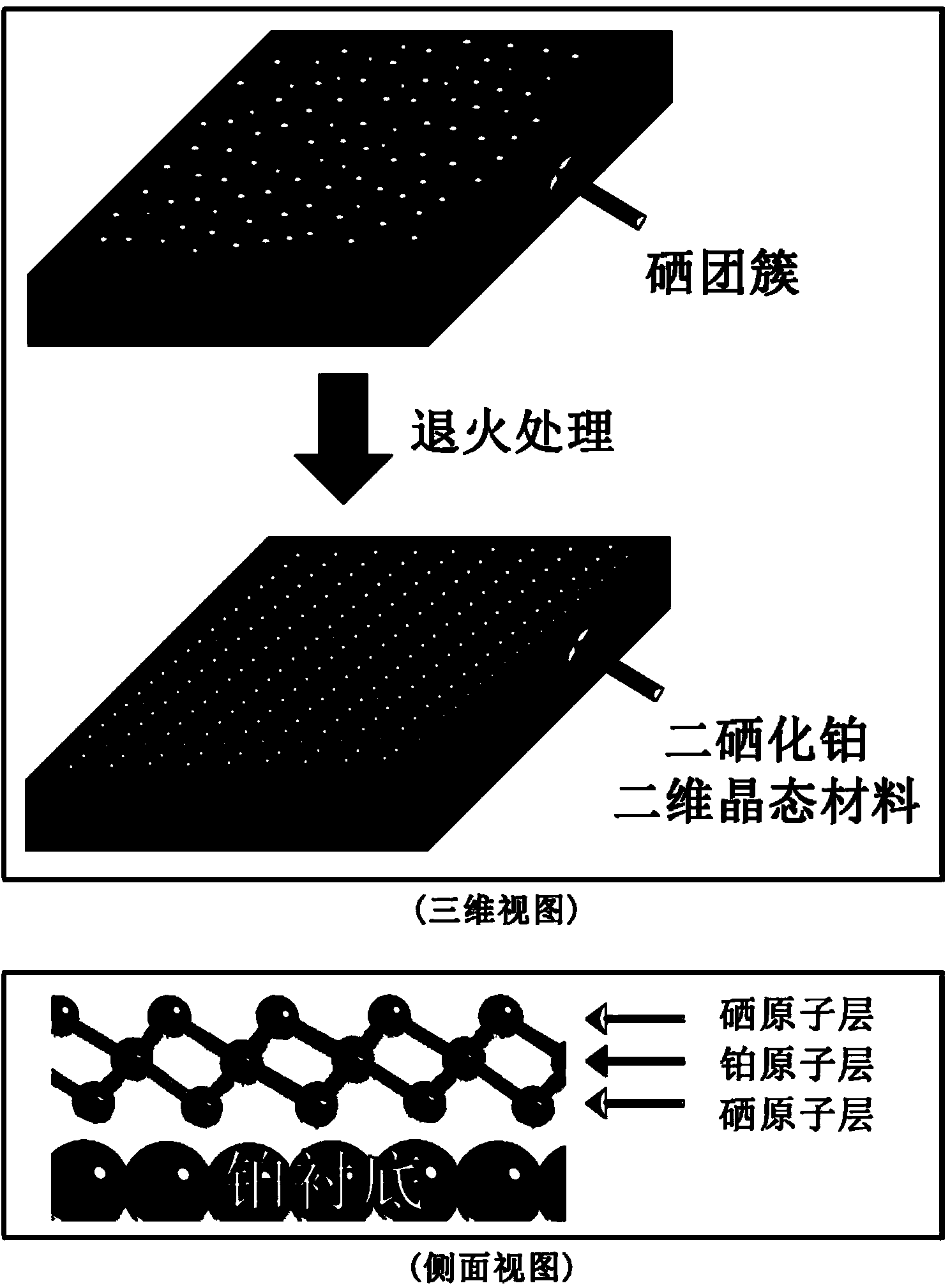 Platinum diselenide crystal material and preparation method thereof