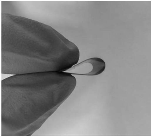 Flexible porous graphene film electrode, preparation method thereof and application of flexible porous graphene film electrode in flexible energy storage