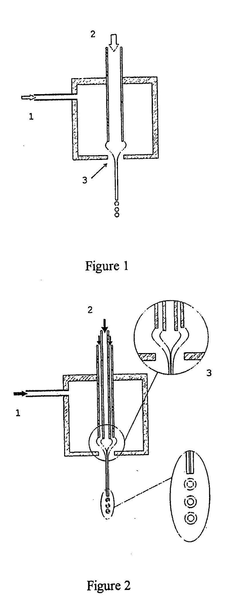 Method of preparing micro-and nanometric particles with labile Products
