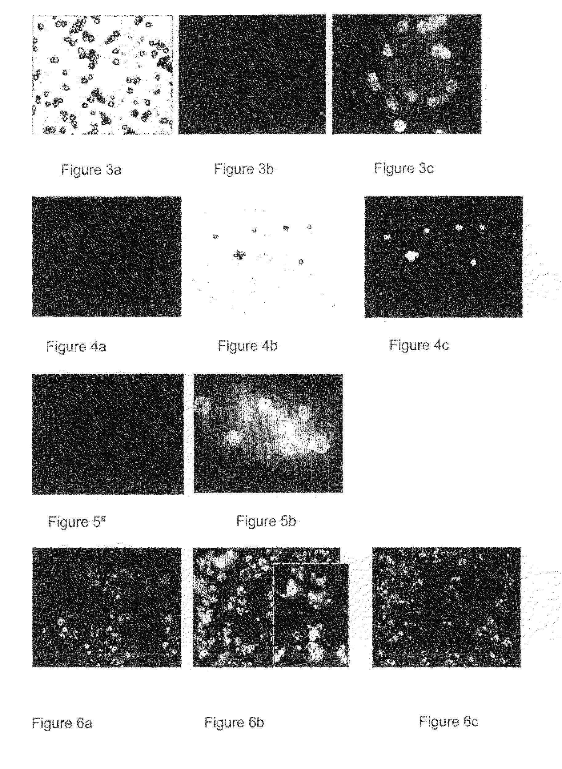 Method of preparing micro-and nanometric particles with labile Products