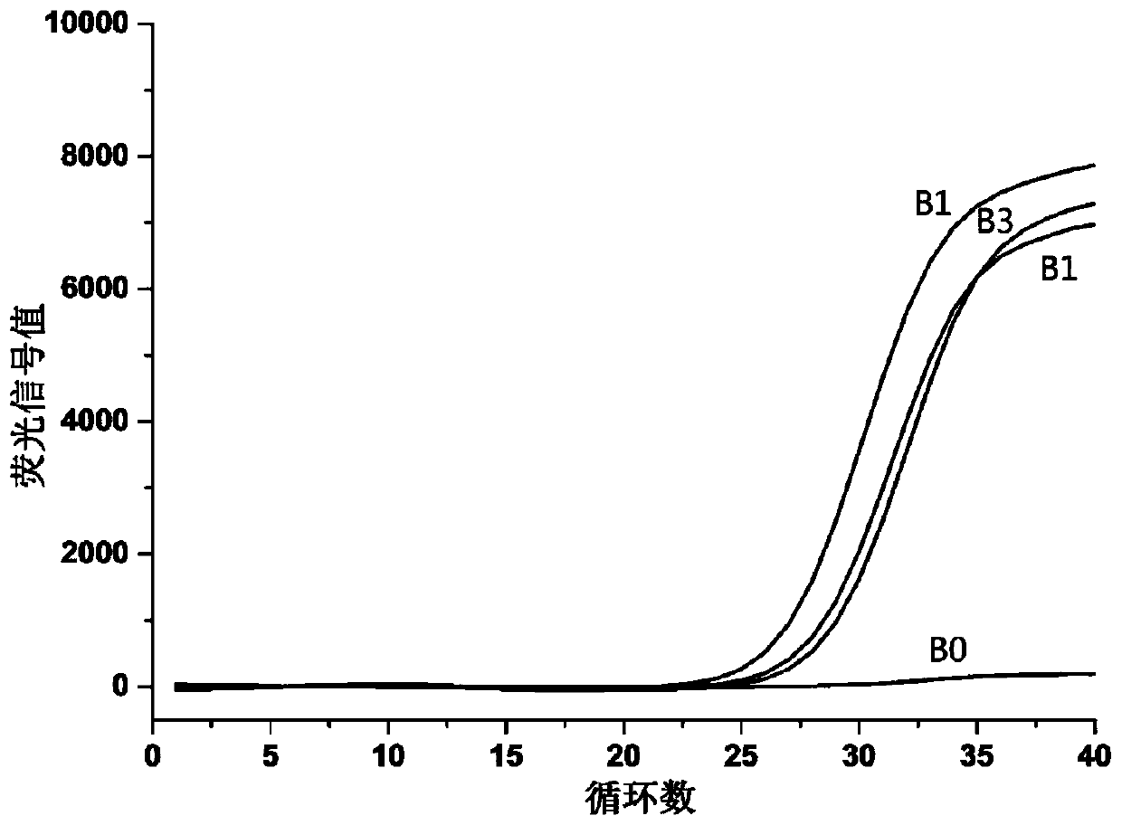 Pseudorabies wild virus and porcine hepatitis E virus qPCR kit and method