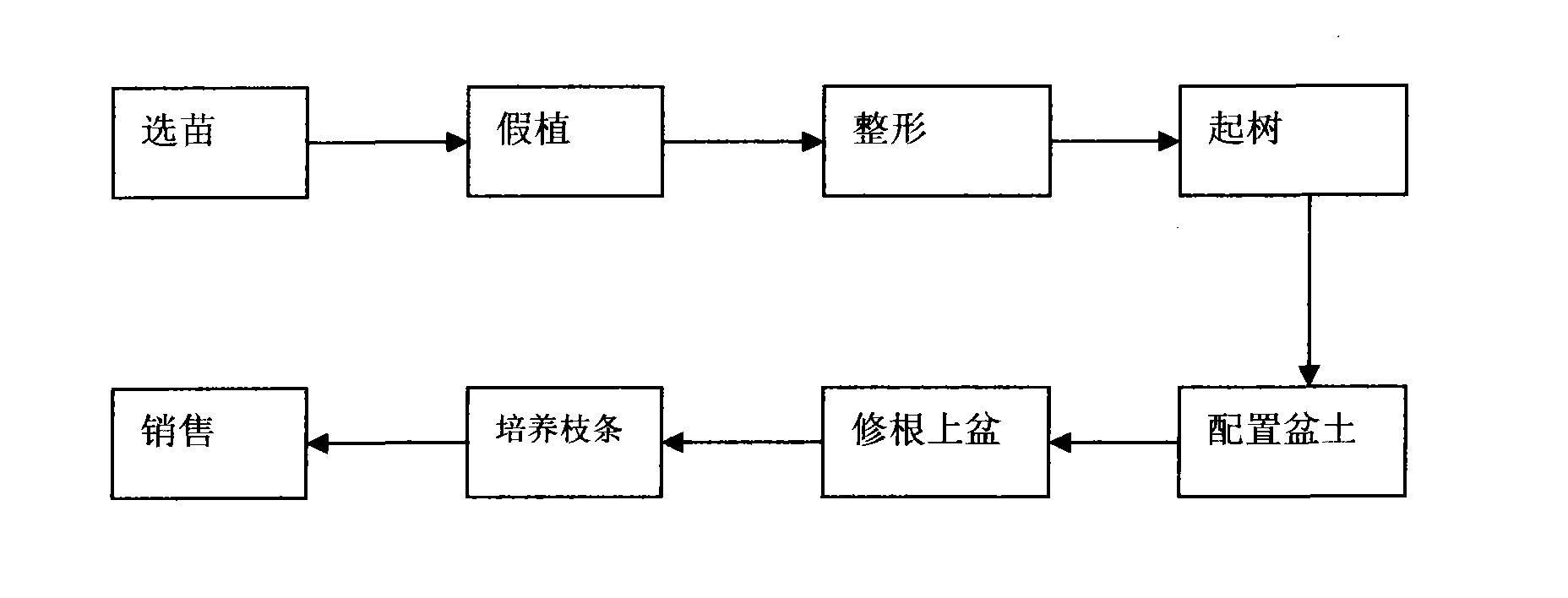 Method for cultivating bonsai Fuji apple tree