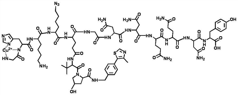 Polypeptide PROTAC molecule as well as preparation method and application thereof