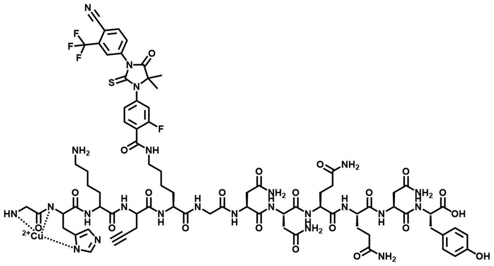 Polypeptide PROTAC molecule as well as preparation method and application thereof