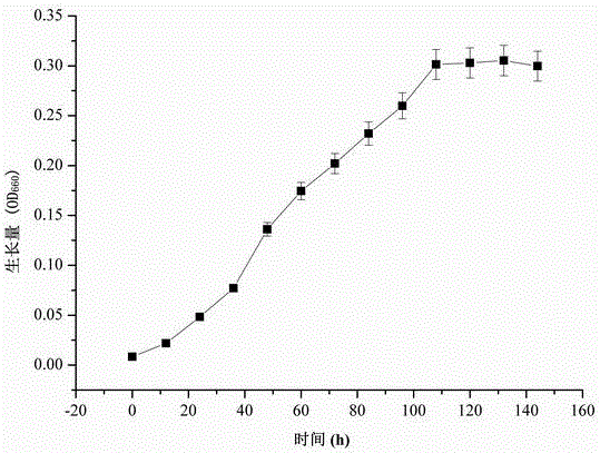 A strain of Trichosporium yeast and its application in the synthesis of gold nanoparticles