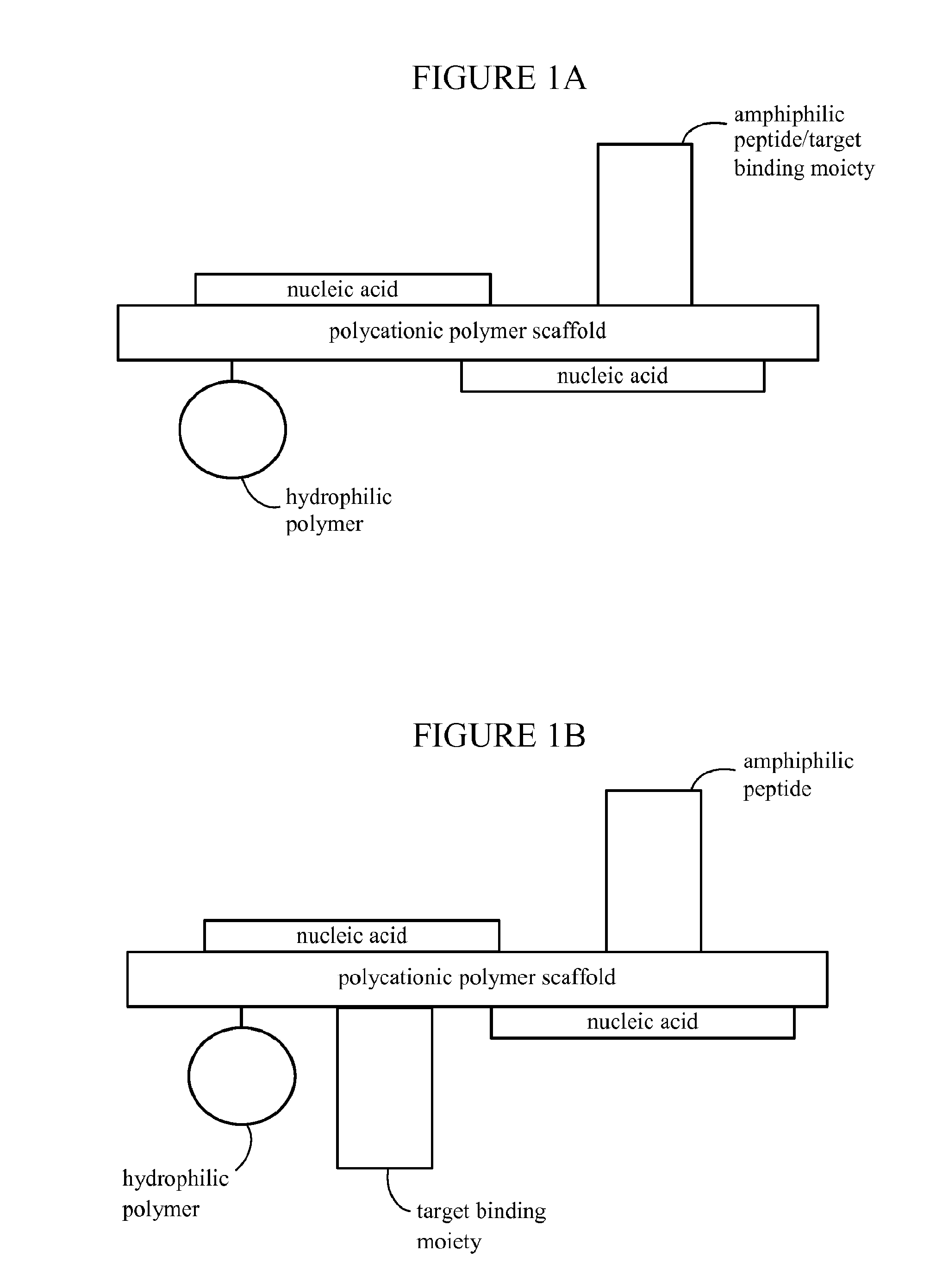 Nanoparticles for targeted gene therapy and methods of use thereof